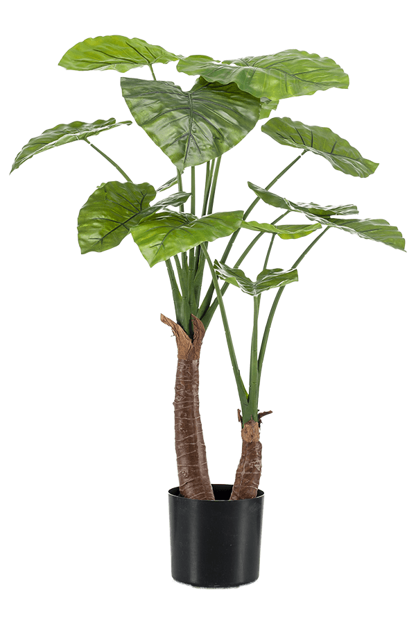 Plante artificielle Alocasia