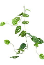 Monstera plante artificielle
