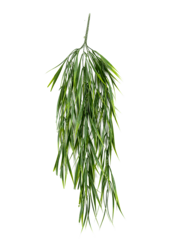 Plante artificielle Grass