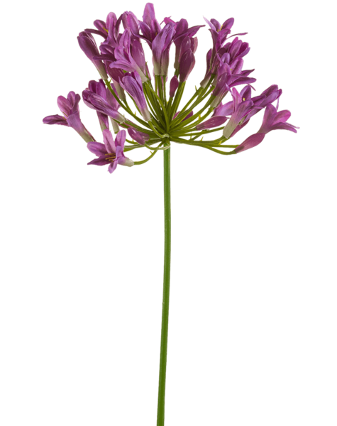 Kunstplant