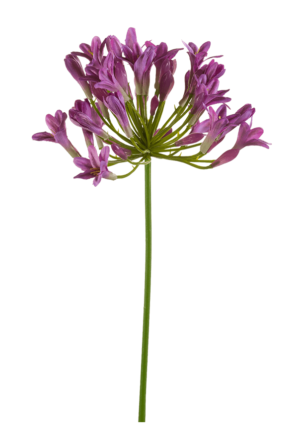 Plante artificielle Agapanthus