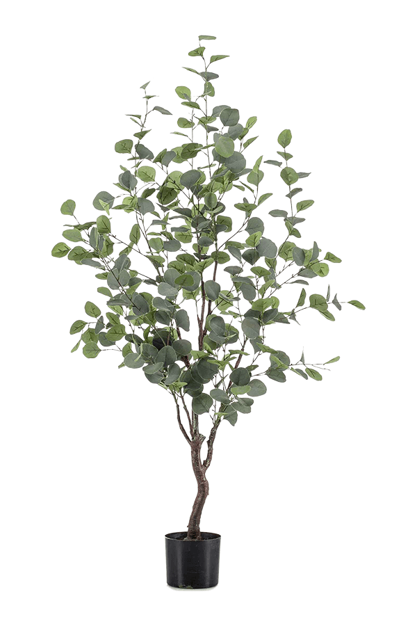 Plante artificielle Eucalyptus