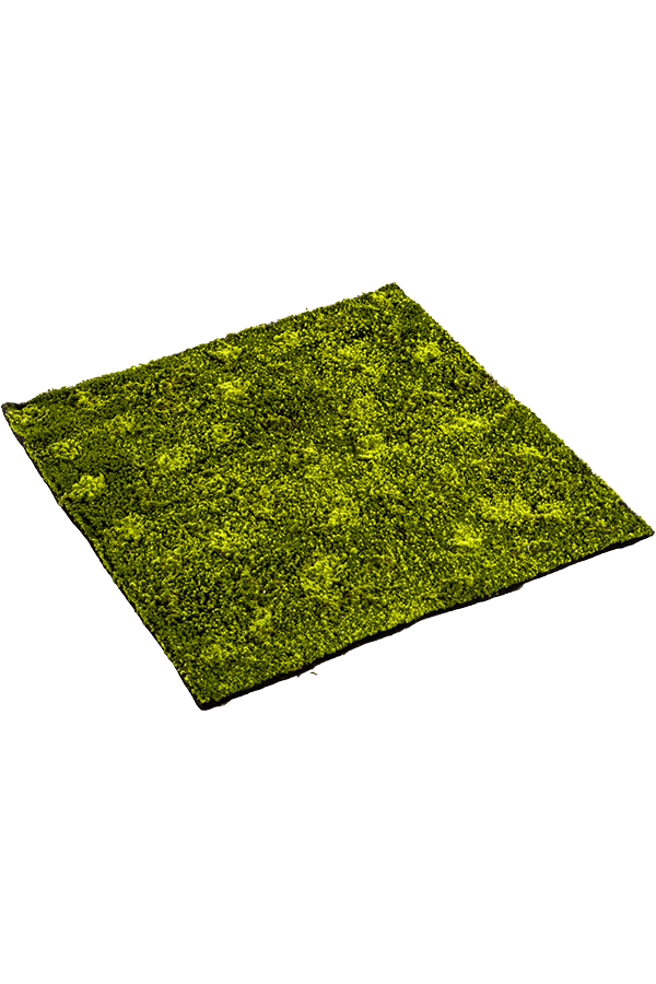 Moss Hypnum kunstplant 100cm x 100cm