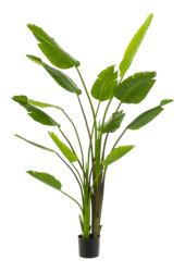 Strelitzia Nicolai kunstplant