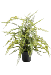 Fougère de Boston artificielle