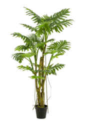 Philodendron kunstplant
