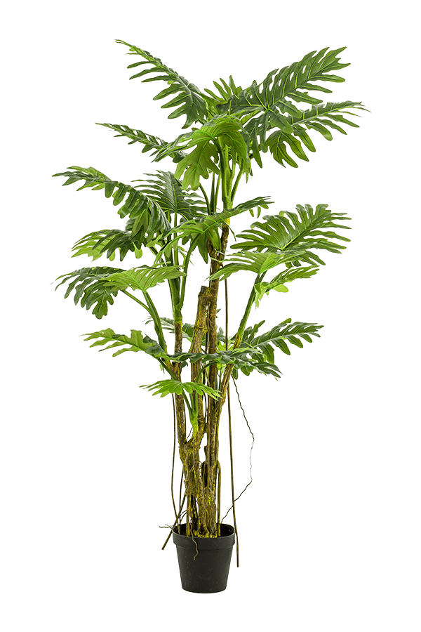 Philodendron kunstplant