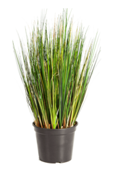 Grass Foxtail kunstplant