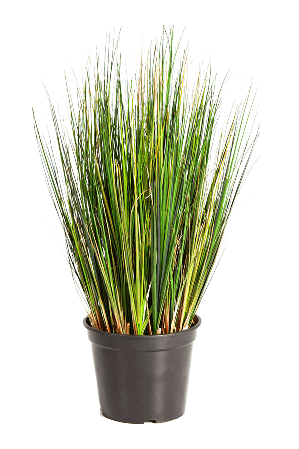 Grass Foxtail kunstplant