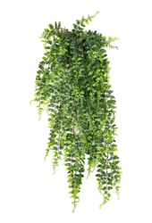 Plante artificielle Fern Boston