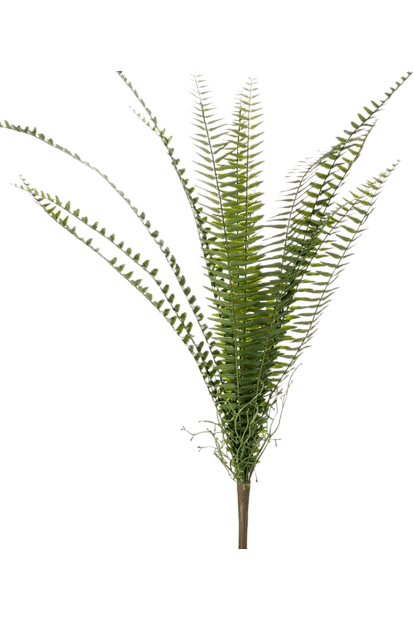 Fern Nephrolepis kunstplant
