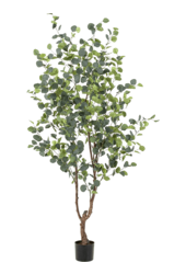 Eucalypthus kunstplant
