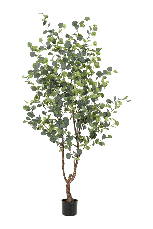 Eucalypthus kunstplant