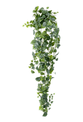 Scindapsus Pictus kunstplant
