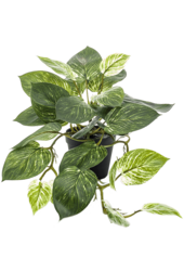 Scindapus kunstplant