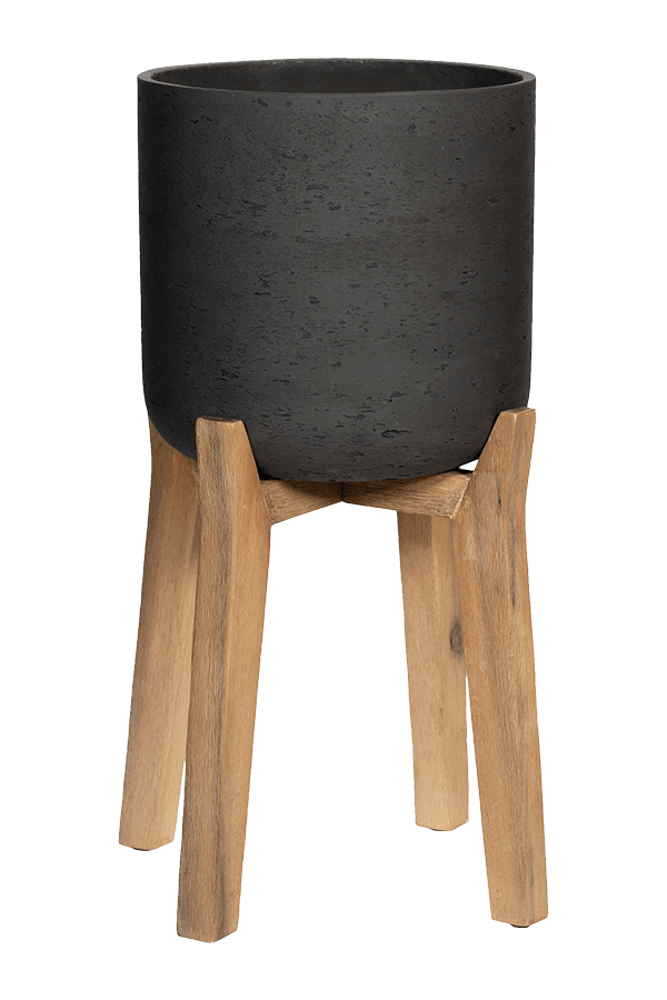 Rough avec pieds hauts Charlie M Noir délavé