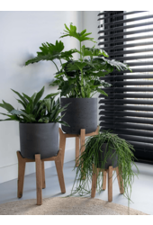 Rough avec pieds hauts Charlie M Noir délavé