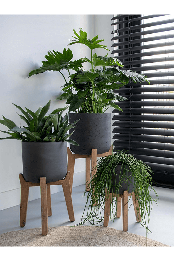 Brut Avec Pieds Haut Charlie XL Noir Délavé