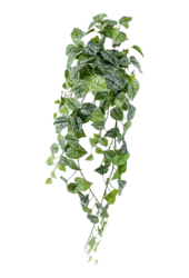 Scindapsus Pictus kunstplant