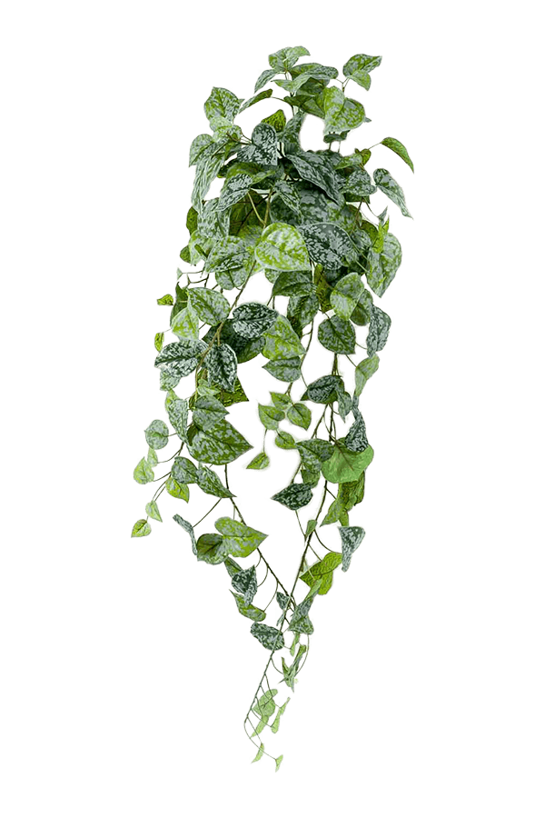 Scindapsus Pictus kunstplant