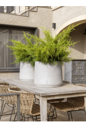 Rough Patt XXXL Gris Lavé