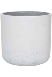 Rough Mini Charlie XXXS White Washed