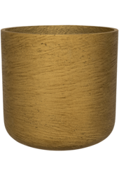 Rough Charlie XS Or Métallique