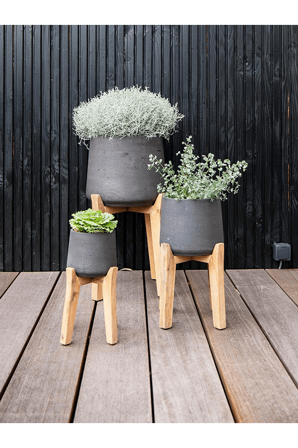 Rugueux avec pieds High Patt XXL Noir délavé