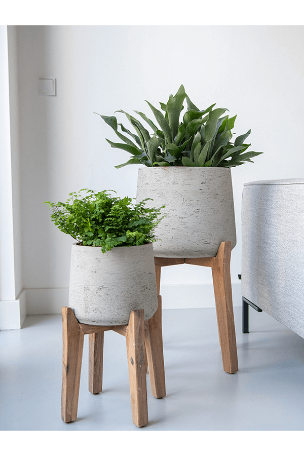 Rough With Feet High Patt XXL Gris Lavé