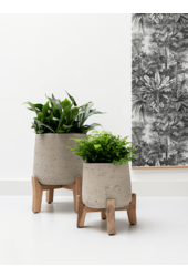 Brut Avec Pieds Bas Patt XXL Gris Lavé