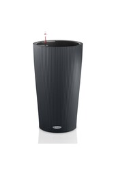 Spathiphyllum dans un Cilindro auto-arrosant