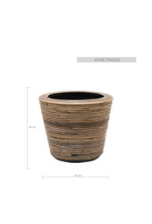 Palmier doré Areca dans un pot en rotin