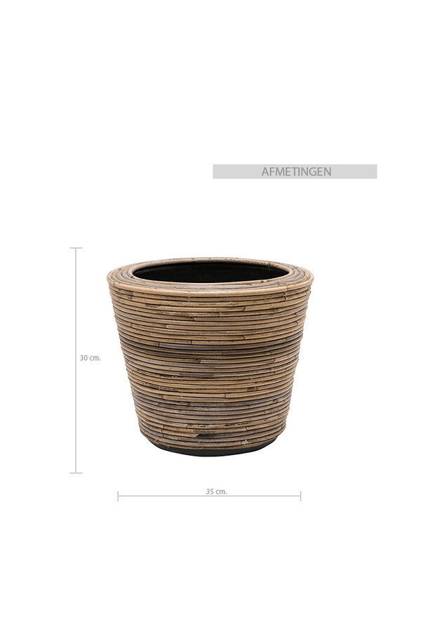 Palmier doré Areca dans un pot en rotin