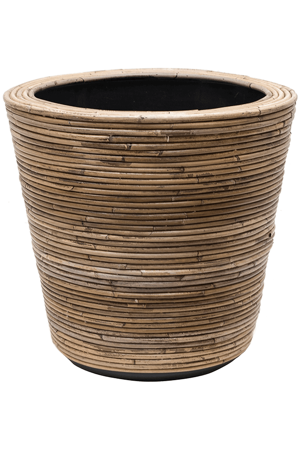 Drypot Rotan Stripe