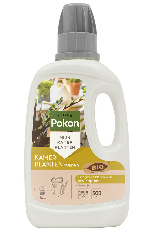 Biologische Kamerplanten voeding