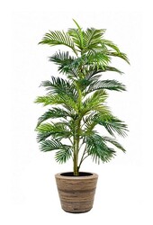 kunstplant Goudpalm in Rotan