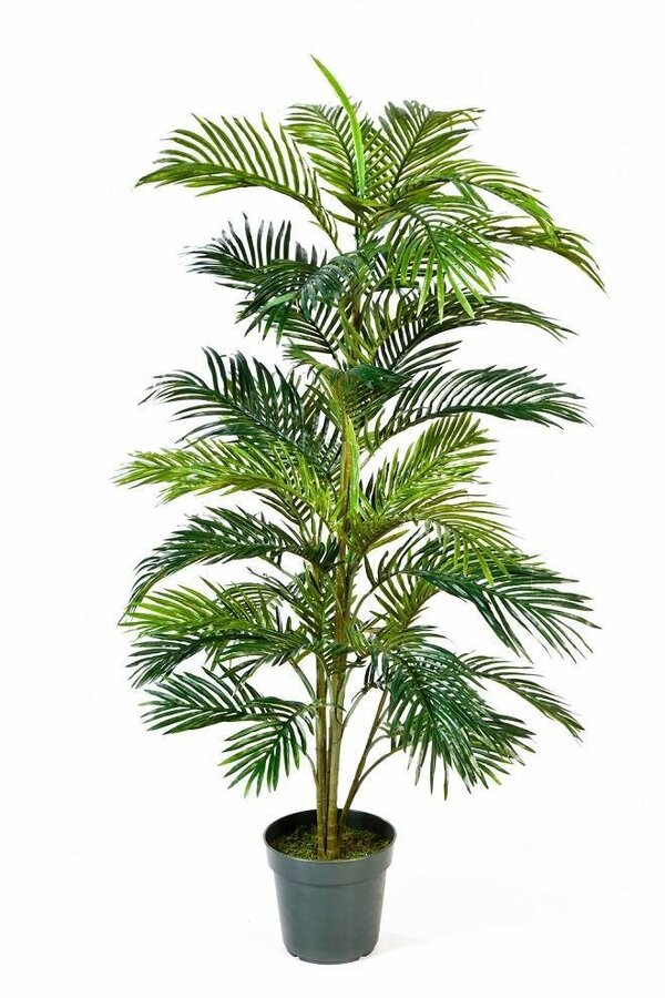 Plante artificielle Palmier doré en Rotin