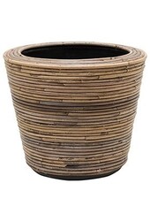 kunstplant Goudpalm in Rotan