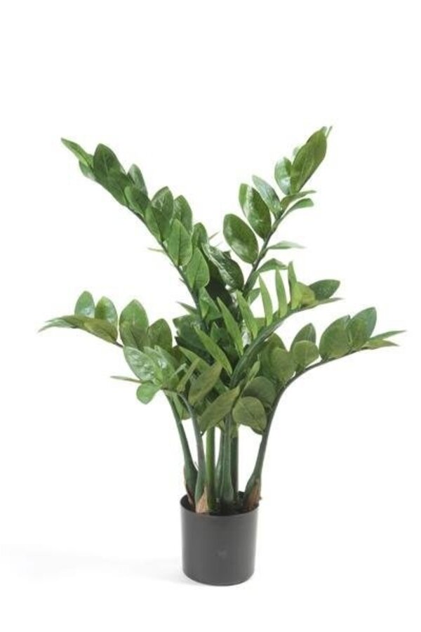 Plante artificielle Zamioculcas dans Pure Rond S