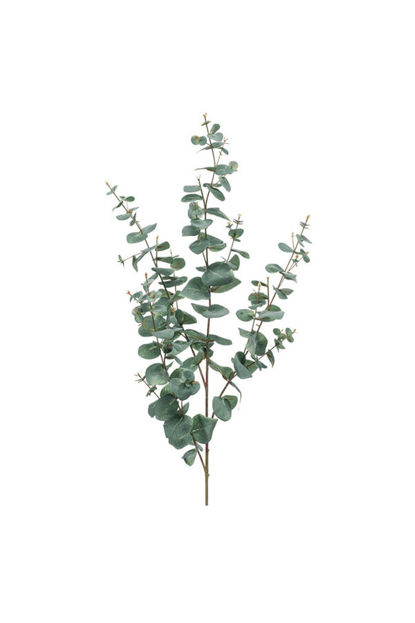 Branche artificielle d'eucalyptus