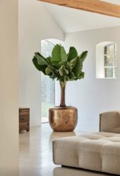 Baq Opus Raw Couple Gold