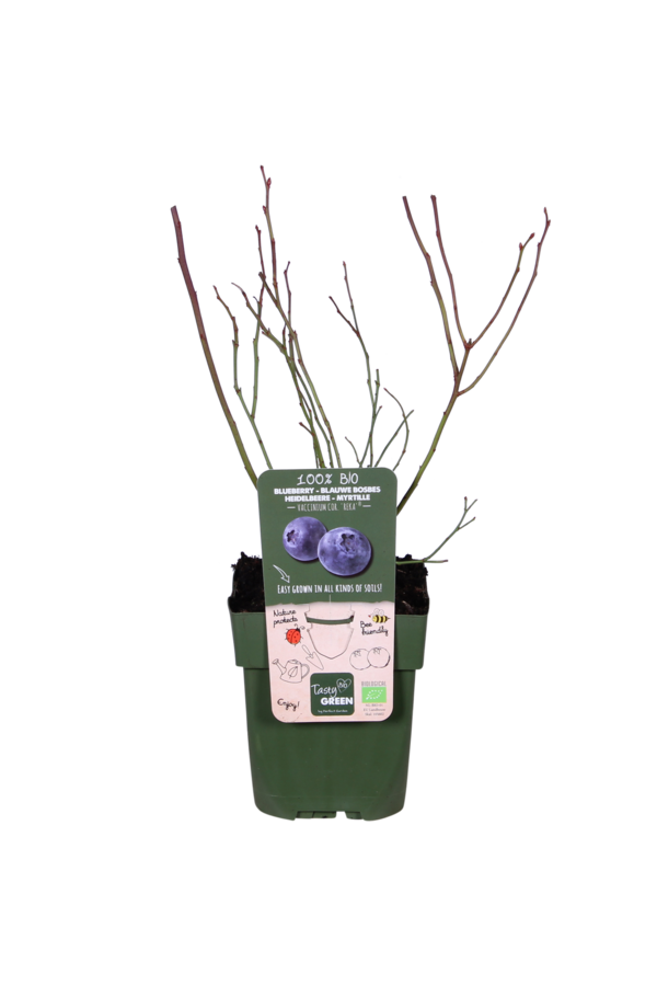 BIO Bosbes Reka