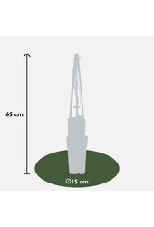 Clématite Jackmanii