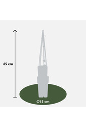 Clematis à grandes fleurs The President