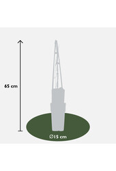 Clématite à grandes fleurs Warszawska Nike