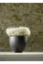 De Luxe Couple L
