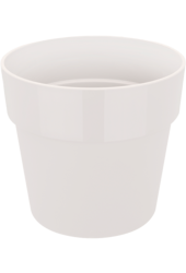 B. For Original Blanc