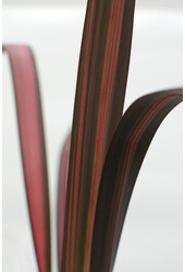 Nieuw Zeelands Vlas Sundowner