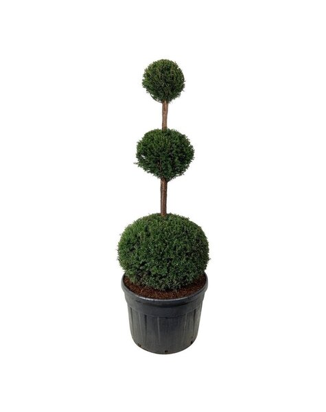 If