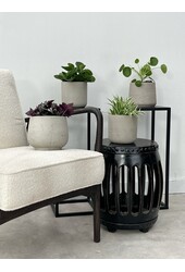 Plantenpakket Vaderplant - Spiderplant - Peperomia -  Pilea